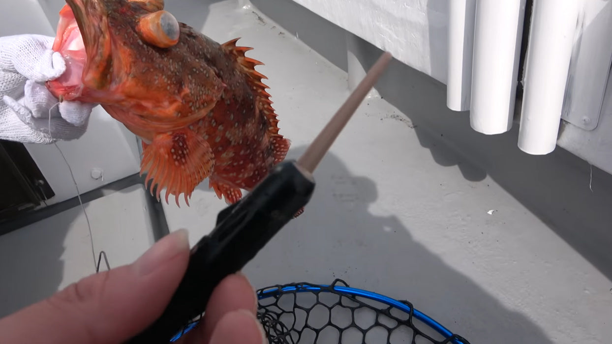 おーちゃんねる