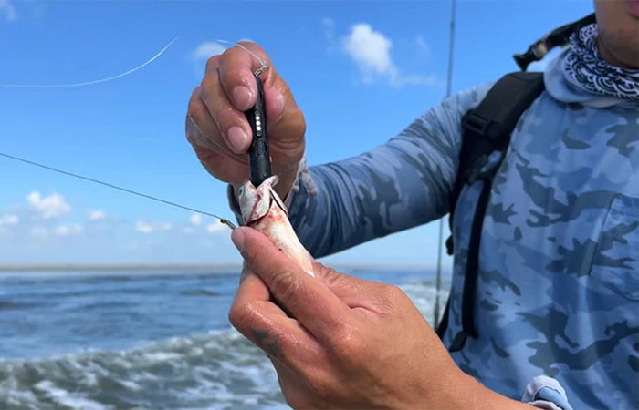 Kanama 智能餌料 Mini