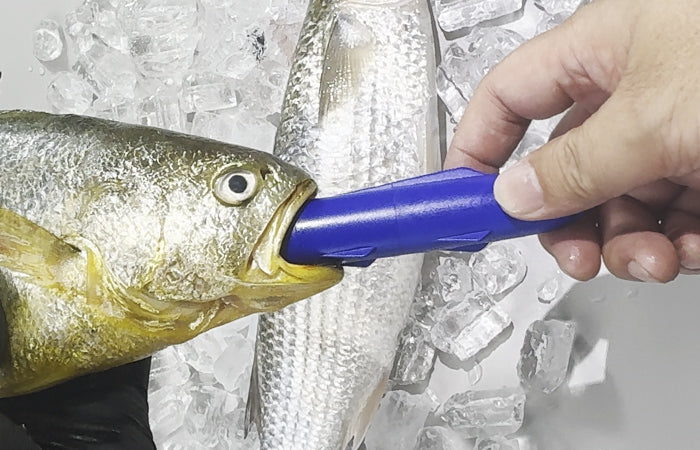 Kanama 智能餌料 ProX