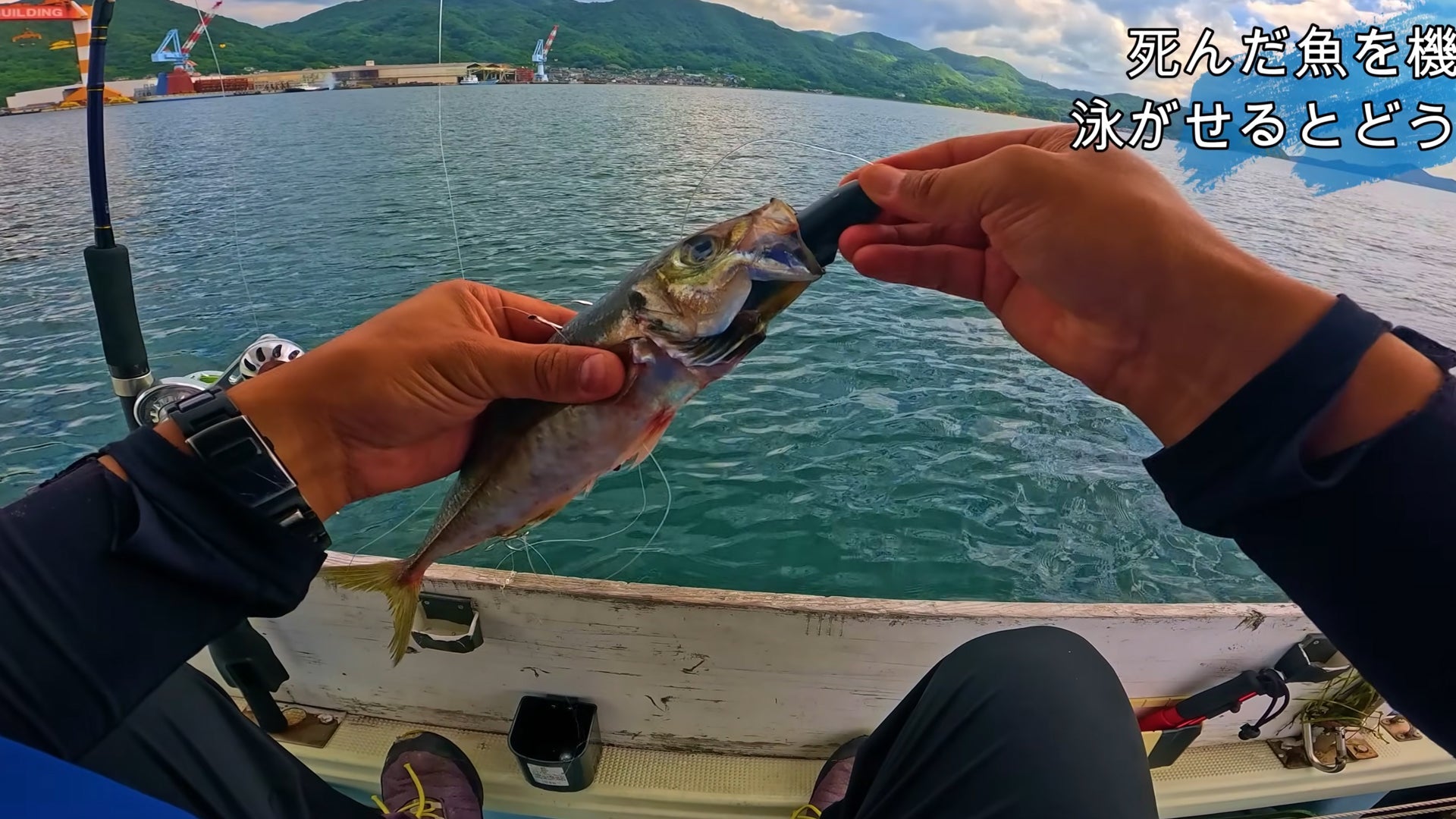 船釣探險者　錨